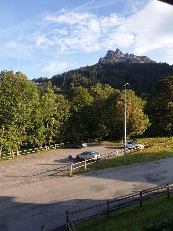 Le 67,ski et randonnée,lave linge,sèche linge,parking Bernex Eksteriør bilde